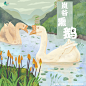 武夷山水