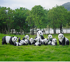 七段数景观雕塑摆件采集到熊猫雕塑摆件