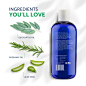 Eucalyptus 12 Fl Oz (Pack of 1)-03