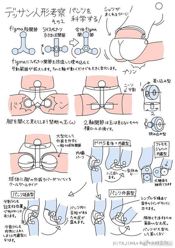人体骨盆形态