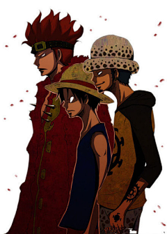 徐姓大龄青年采集到动漫 | 海贼王（ONE PIECE）
