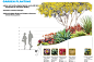   Planting Guidelines: Gardens  