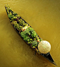 Thai Style / 泰式风格 : 最妖媚动人的风景和最香艳旖旎的风情