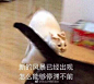 微信图片_20190808175726