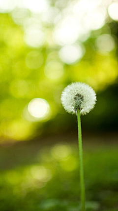 Daney视觉采集到节气
