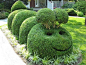 ~~ Caterpillar ~~ makes me smile http://weathertightroofinginc.com #roofer #roofing #rooferhemet #roofrepair #localroofer #reroof #hemet: 