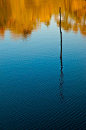 湖景 意境美图 水波纹