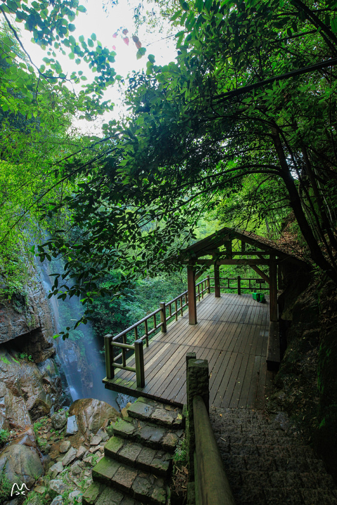 秋已至，夏未消，莫干山上翠绿流淌～-喵呜...