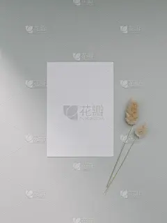 贺卡模板，空白请柬模板。平铺，极简风格