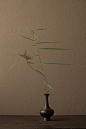 2012年4月25日（水）
湖上を渡る風を感じます。初夏の兆しです。
花＝西湖葦（サイコアシ）、羊歯（シダ）
器＝金銅華瓶（鎌倉時代）