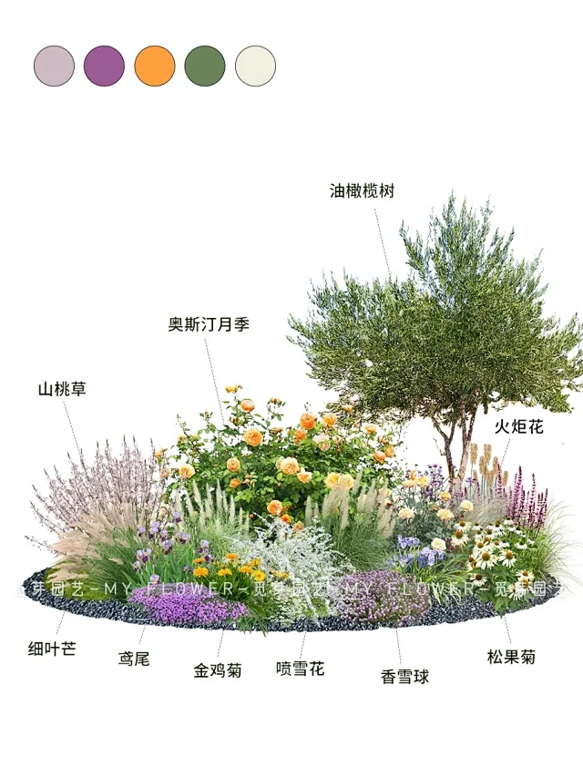 花境效果图｜好看好学的花境水彩效果图 - 小红书-花瓣网