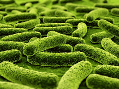 筑草为城+采集到A3000-生物医疗元素+细菌+化学+玻璃瓶+分子+基因+制药