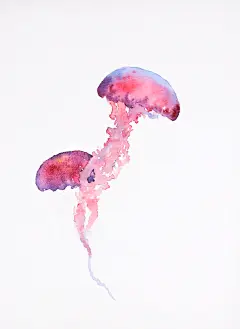 水彩、绘画、手绘、写实、写生、颜料、新手教程、水彩画入门、上色、初学者、风景、花卉、植物、钢笔淡彩、铅笔淡彩、装饰画、插画、漫画、手绘、自学、又画、动漫、插画