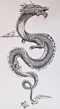 my personal interpretation of the traditional japanese dragon: 