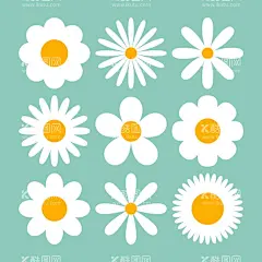 矢量白色雏菊   - 源文件下载【酷图网】矢量白色雏菊,插画设计,白色雏菊,洋甘菊,花卉图案,海报精美,装饰,时尚背景,酷炫,潮流,背景图,底图,包装设计,设计元素,板报,海报,模板,办公,企划