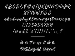 Hillbear潮流书法手写体logo标识杂志请帖海报标题草书英文字体-淘宝网