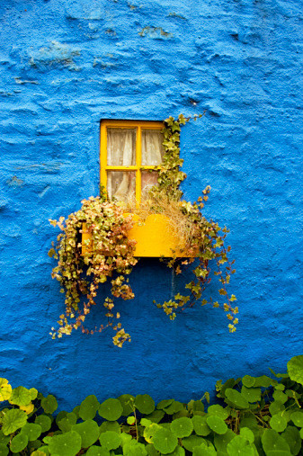 每一扇窗都开满鲜花—莫奈的花园：法国小镇...