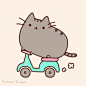 Pusheen the cat : =＾● ⋏ ●＾= Meow! I am Pusheen the cat. This is my blog. (more...)