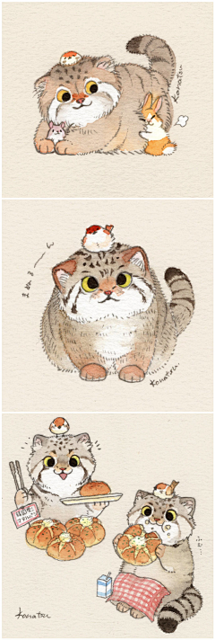 一只小发发采集到动物插画