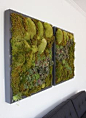 Living Wall used as a piece of art