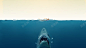 水中吃人的鲨鱼海报背景高清素材 页面 页面网页 平面电商 创意素材