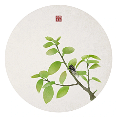 Ke_Yang采集到立夏