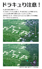 增山修观察