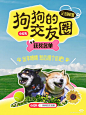 来自分享