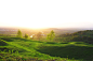 Keattikorn Samarnggoon在 500px 上的照片Nature hill scenics in Gloucester UK