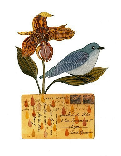 Geninne D.Zlatkis插画作...