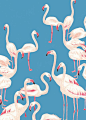 Flamingo: 