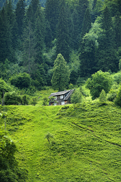 小太爷、采集到林中小屋