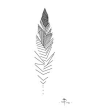 sketch fo tattoo by RUSS --- linework --- feather - #Feather #linework #Sketch #Tattoo