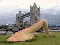 采集图片
