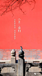 108张图看尽紫禁城的春夏秋冬
