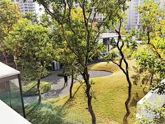 lIlIIIl采集到草坪/植物