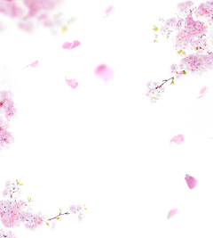 污小瑩采集到花纹