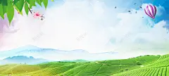 绿色山水清新茶园海报banner 自然 茶园 风景 高清背景 背景 设计图片 免费下载 页面网页 平面电商 创意素材