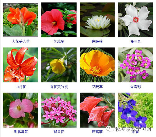 来自相册