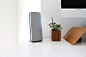 A tall gray loudspeaker and a small plant in a wooden flower pot beside a computer screen