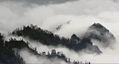 自截的关于电影我们诞生在中国的壁纸 分享下 - 手机壁纸区 - 虎扑社区