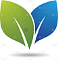 leaf logo icon