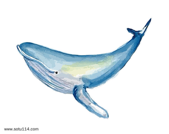 手绘水粉蓝色鲸鱼