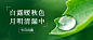 白露节气祝福露珠绿叶公众号首图