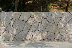 Rachelshaosu采集到A景观---参考/素材贴图/材质