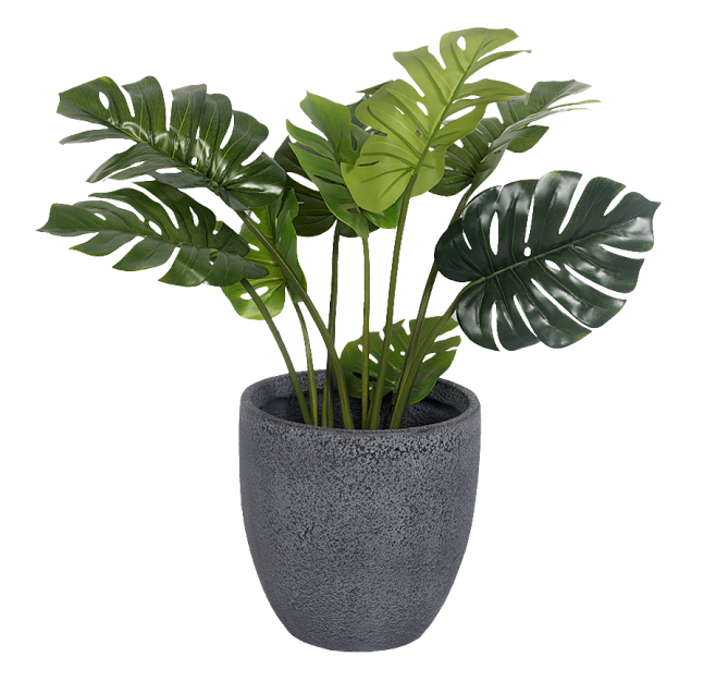 盆栽png 北欧植物 透明素材植物 居家...