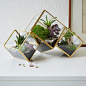 How do I make an amazing terrarium?@北坤人素材