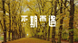 字体帮-第1460篇:不期而遇 ​  明日命题:天天萌宠 : 字体帮每日一字