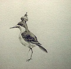 大老王的铅笔小画 | @CCI中国动漫插画  投稿获推荐原创插画师资格
















不要担心 我只是发条松了。。。。别哭好吗 吵死了 快帮我把发条拧了





我有一只小毛驴我每天都在骑~





象沙漠里的仙人掌一样

旅者会因为看到沙漠里的一点绿色感到兴奋

会和我交谈 会喜欢我

但他们始终是要离开沙漠

我留不住他们



有一天

有人会将我带走 离开沙漠 让我和她在一个没有风沙的地方继续活着



我一直相信着这个人的存在

......