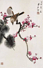 爱新觉罗·溥佐花鸟画作品